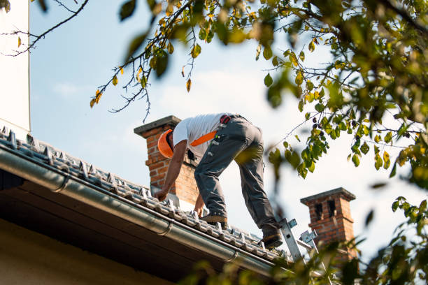 Best Gutter Replacement  in Woodburn, VA