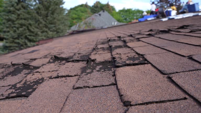 Best Rubber Roofing (EPDM, TPO)  in Woodburn, VA