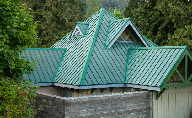 Best Roof Maintenance and Cleaning  in Woodburn, VA