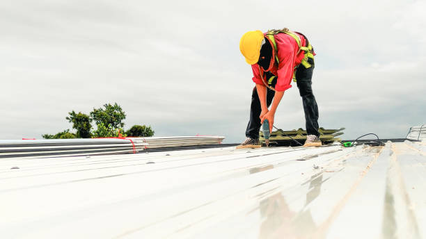 Best Roof Moss and Algae Removal  in Woodburn, VA