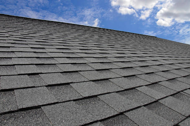 Best Skylight Installation and Repair  in Woodburn, VA